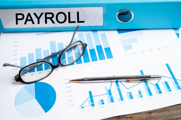 Payroll Service Providers