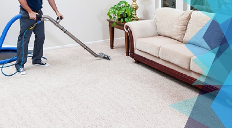 Bring New Life to Your Carpets with Bondi Expert Cleaners