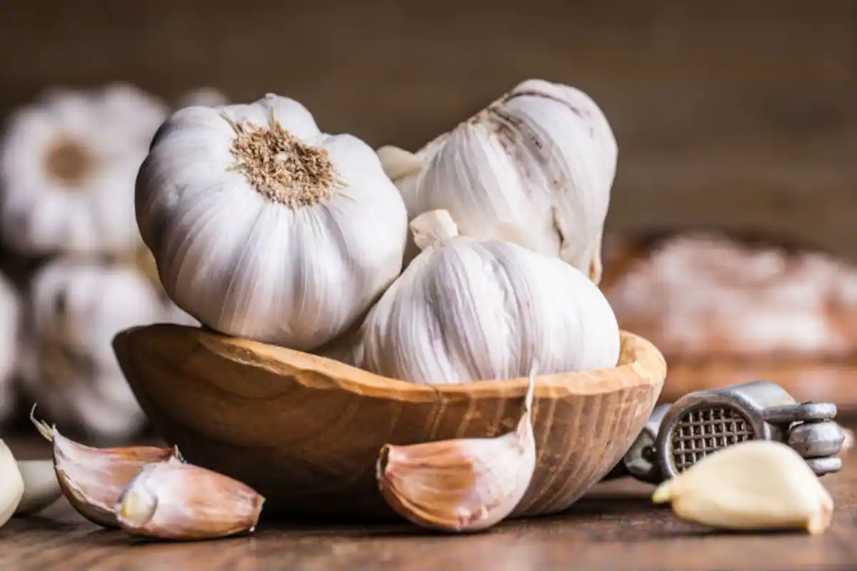 Is Garlic Capable of Increasing Sexual Motivation?