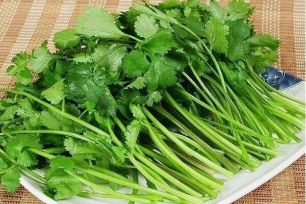 Here Are Some Of The Health Benefits Of Coriander
