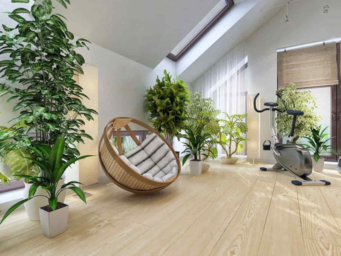 Protect Your Flooring From Indoor Plants
