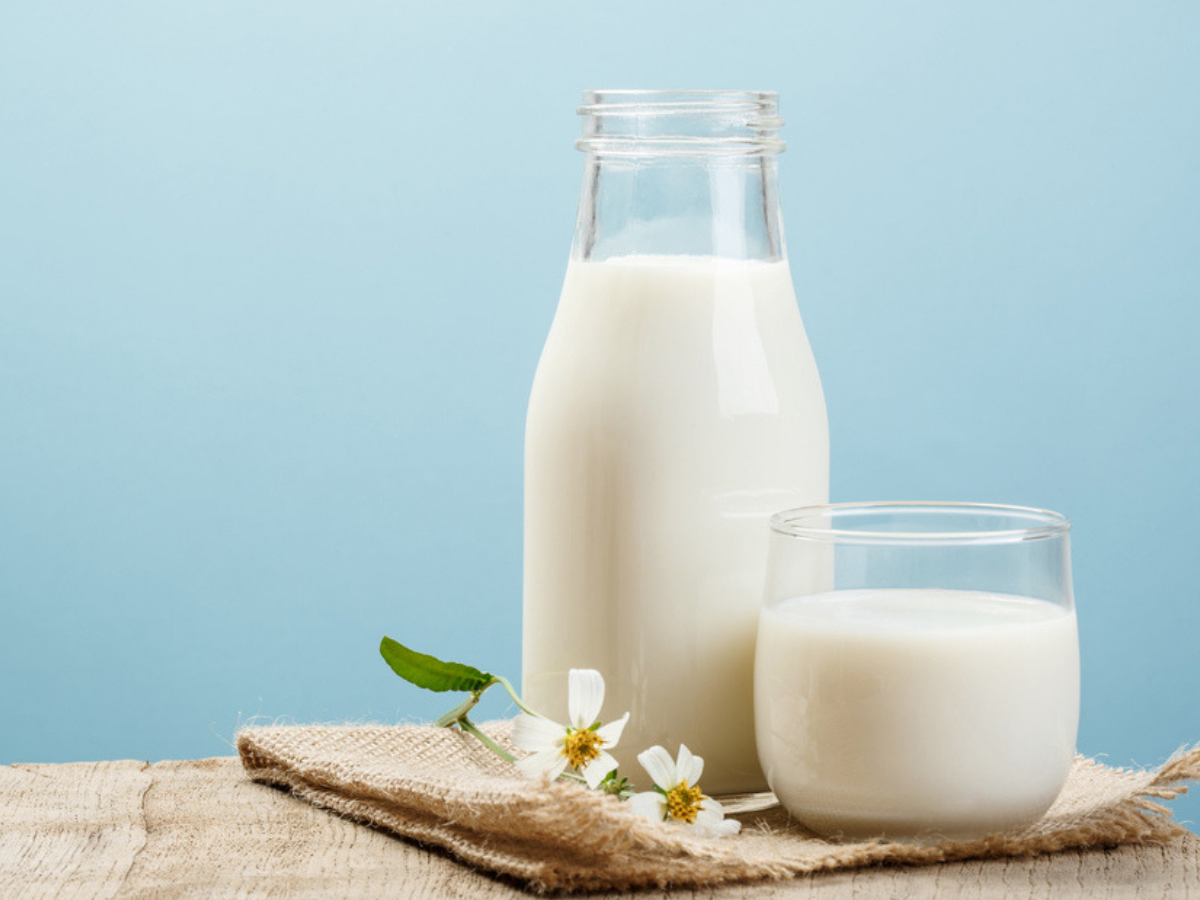 What Are The Benefits Of Cow Milk?