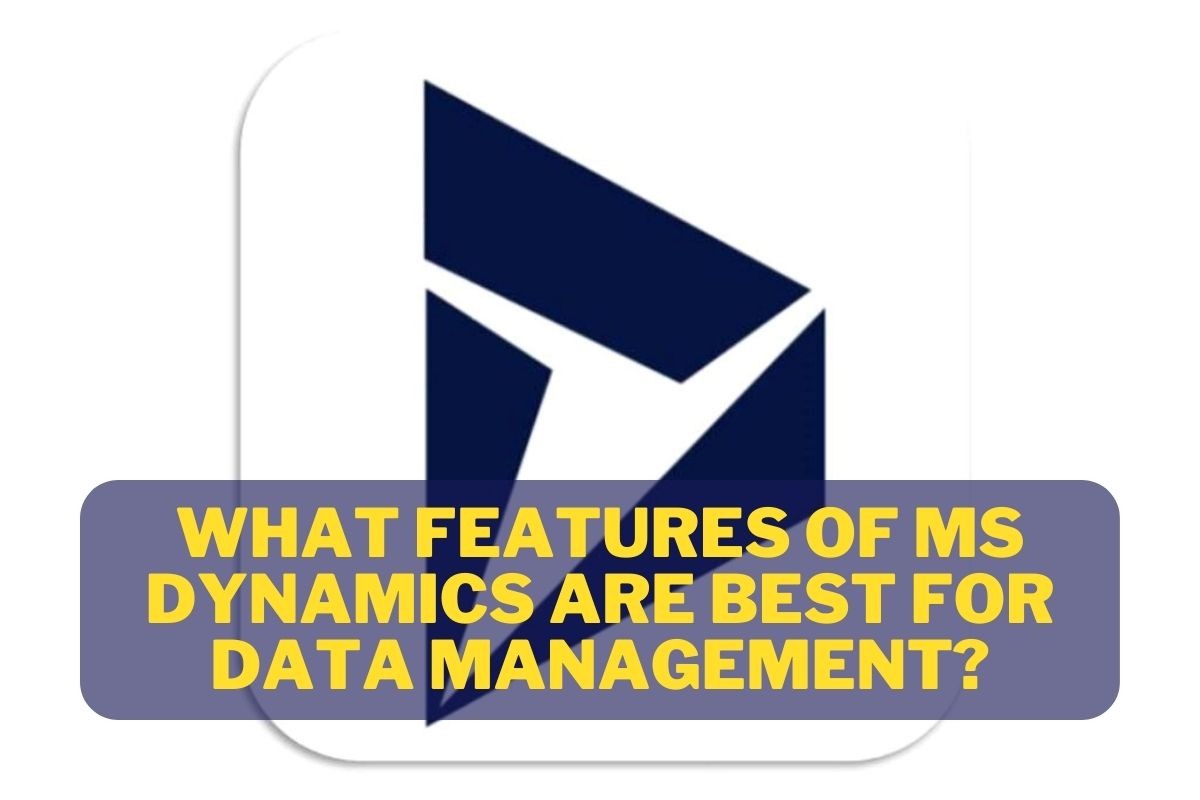 Features of MS Dynamics