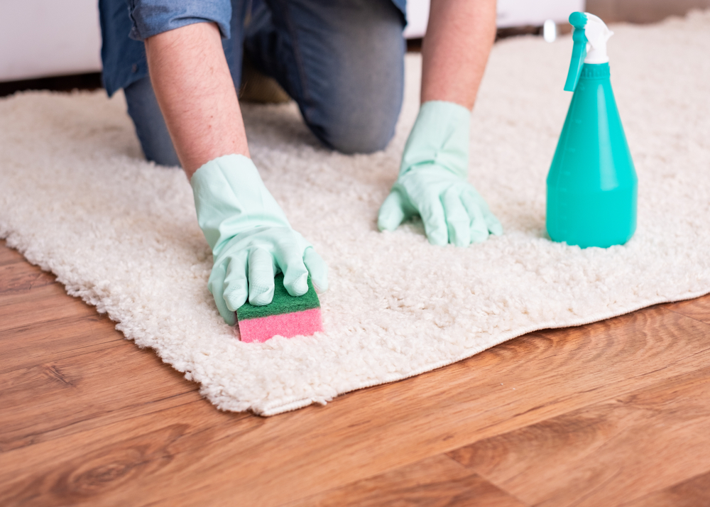 Carpet Cleaning Save Your Business Money