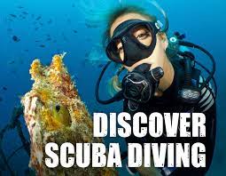 Learn to dive in Murcia: Beginner Scuba Diving Courses