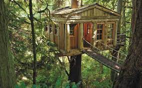 A Guide to Building a Treehouse for Adults