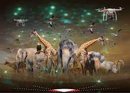 The Role of AI in Wildlife Tracking