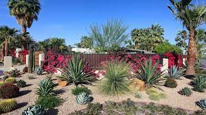 Xeriscaping: Water-Efficient Landscaping